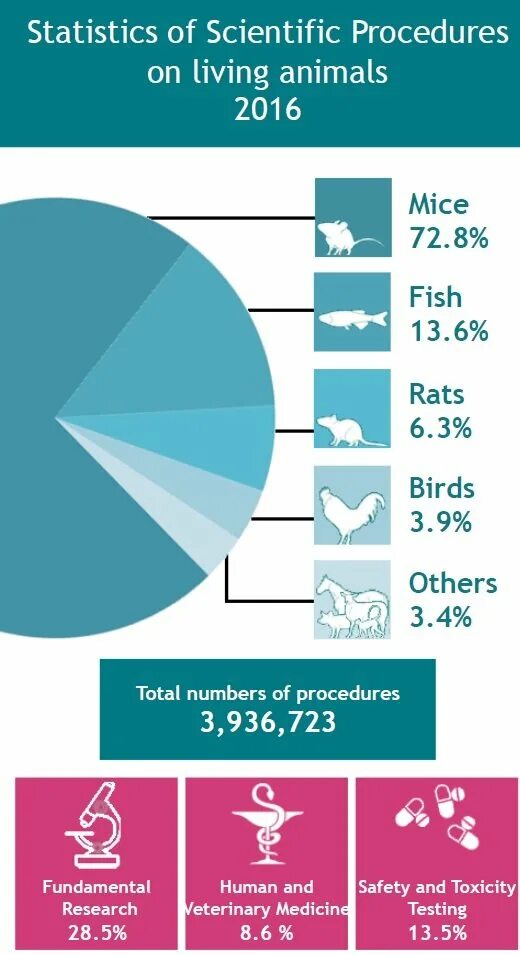 Animal Testing for and against. Do we need use of animal in Scientific research. The use of animals in Medical research.