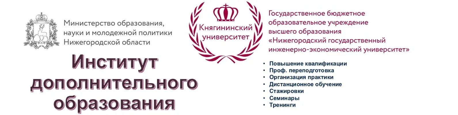 Княгининский университет Нижний. Экономические университеты в Княгинино. Министерство образования и науки Нижегородской области. Инженерно-экономический университет Нижний Новгород. Сайт княгининского университета