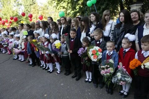 Сайт ростовской гимназии