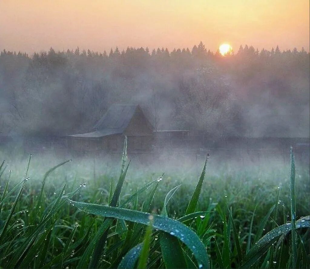 Дождь на рассвете. Утреннее поле в тумане. Туманное утро. Утренний рассвет.