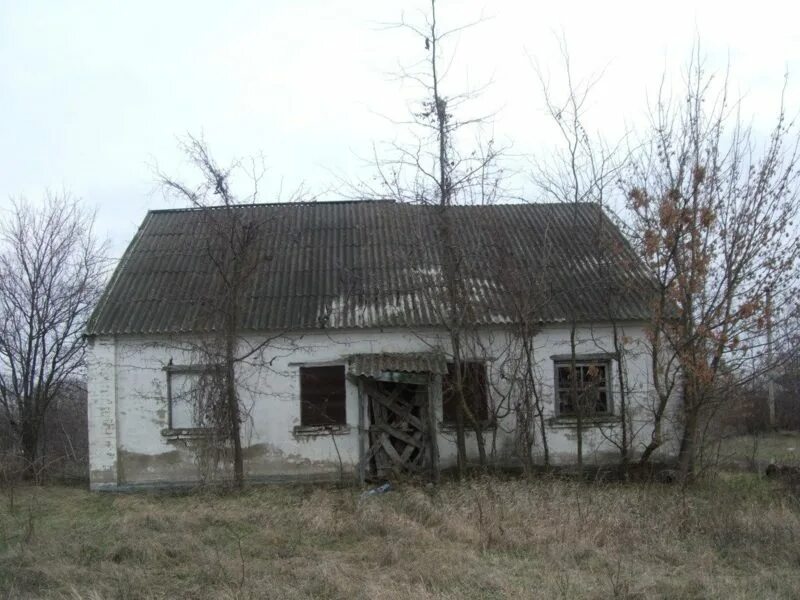 Станица Мирская Краснодарский край. Поселок мирской Краснодарский край. Пос Возрождение Кавказского района Краснодарский край-. П мирской кавказский район Краснодарский край.