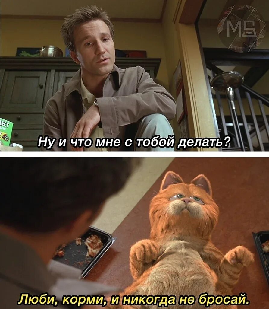 Любить кормить и никогда не бросать. Гарфилд мемы. Одноименный. Garfield speak to me. Гарфилд любить кормить и никому.