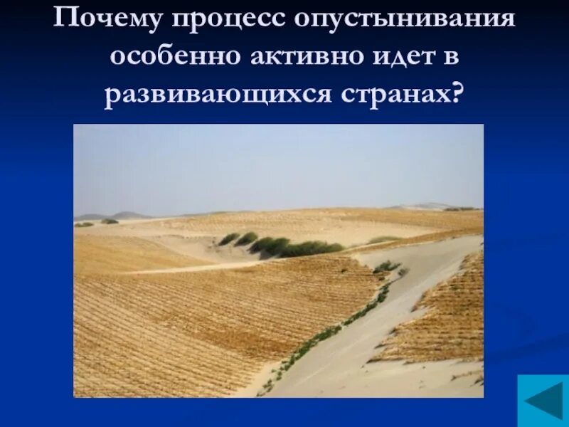 Почему опустынивание является глобальной проблемой. Процесс опустынивания. пути решения опустынивания земель. опустынивание это в географии. охарактеризуйте процесс опустынивания.