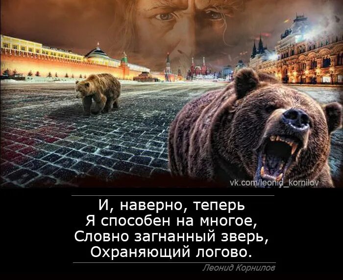 Угол зверь