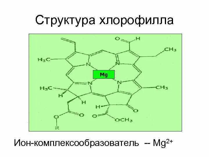 Элемент хлорофилла. Строение хлорофилла. хлорофилл хим строение. структура хлорофилла. строение молекулы хлорофилла.