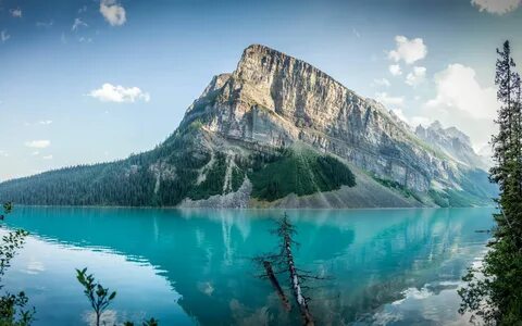 Nature c