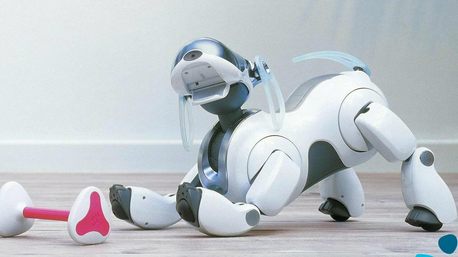 Роботы собаки на открытии игр. Sony Aibo ers-7. Aibo робот-собака от Sony. Sony Aibo ers-210 робот. Робот Sony Aibo Latte.