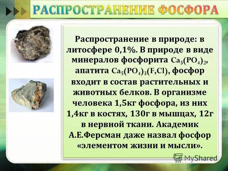 К каким полезным ископаемым относятся фосфориты. К каким полезным ископаемым относятся фосфориты
