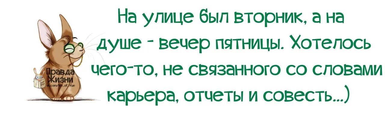 Хороший был день правда. Высказывания про вторник. Вторник юмор. Анекдоты про вторник смешные. Цитаты про вторник смешные.