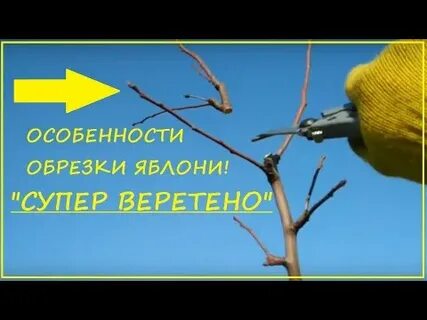 Как обрезать яблони видео