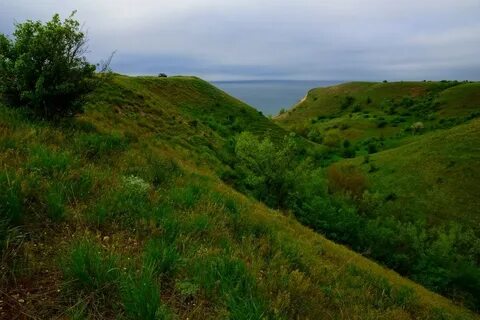 Саркел
