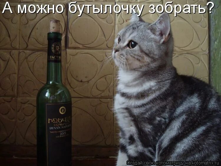 с днем похмелья поздравление. несвоевременный опохмел. картинка женщина с похмелья. опохмел это. опохмелиться или нет.