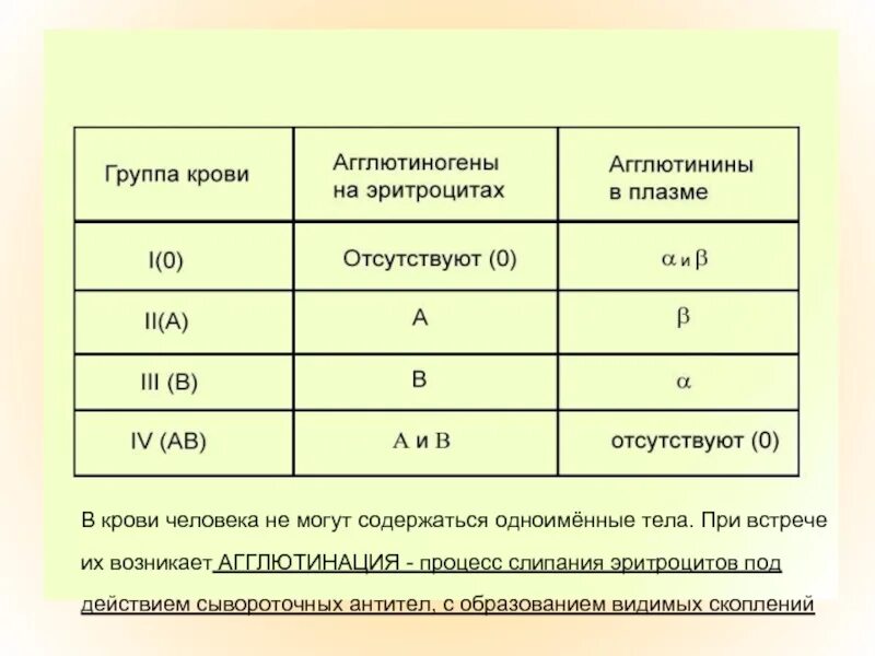 В эритроцитах человека находятся агглютиногены. Учение о группах крови и резус факторе. учение о группах крови агглютиногены. таблица по группам крови агглютиногены и агглютинины. агглютинины 4 группы крови.
