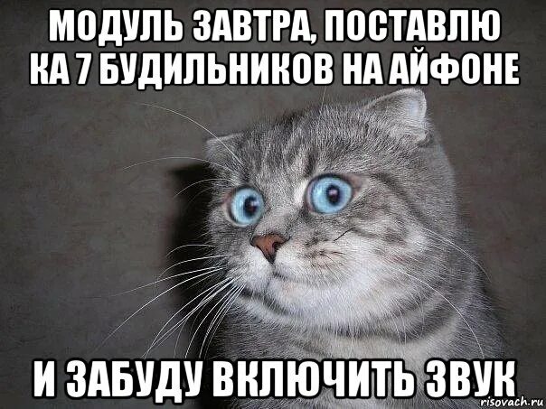 Какие завтра установлены