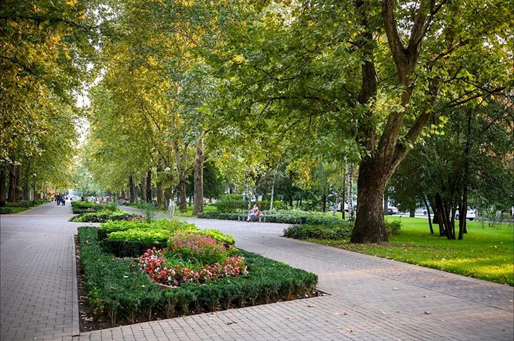 Пкио «сокольники» в москве. Парк горького цветники аллея. Парк горького. Пкио «сокольники» в москве. Парк ленина казань.