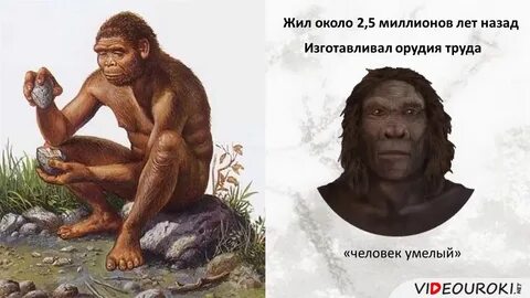 Видеоурок по истории древнейшие люди