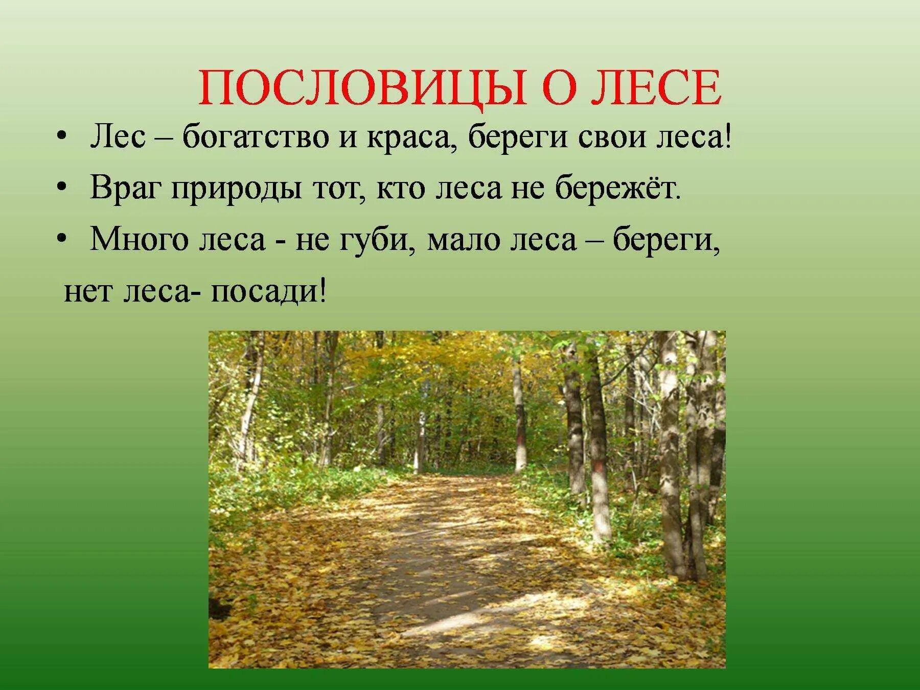 Осинник составить предложение