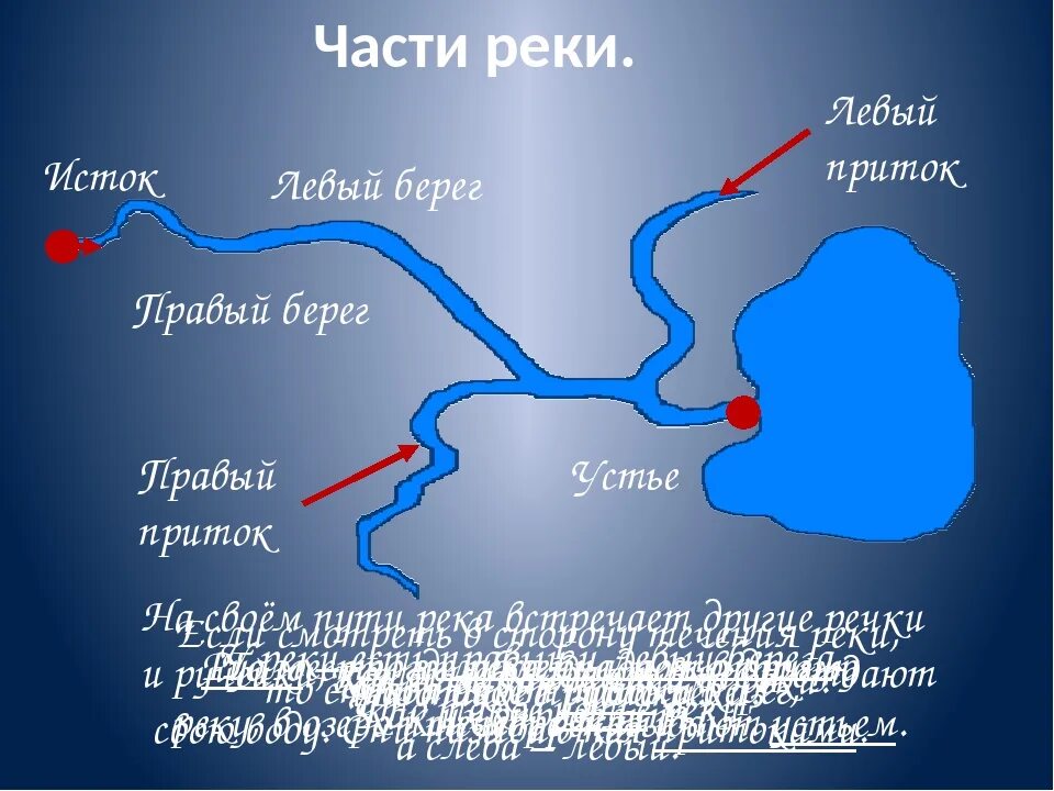 Река тура начало и конец. Ладожское озеро Исток Невы. Схема реки Невы Исток.