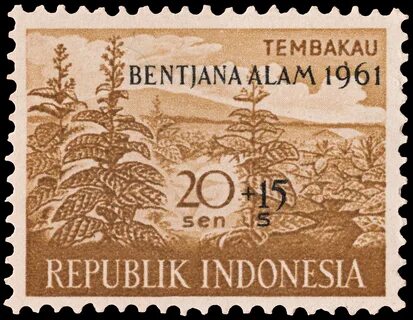 20 sen