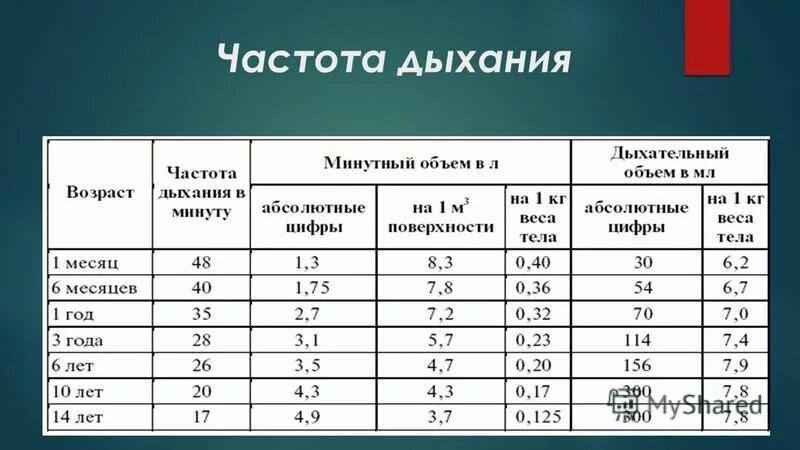 Число вдохов за минуту в спокойном состоянии. Число вдохов за минуту в спокойном состоянии