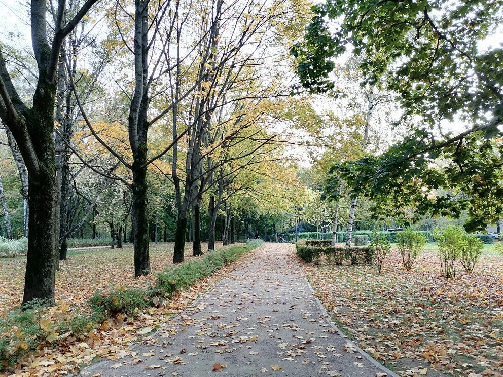 Какое вы место для прогулок. Парк Дубки Москва. Дубовая аллея Дубки парк. Дубовая роща Москва. Парк Дубки дубовая аллея наследие ЮНЕСКО.