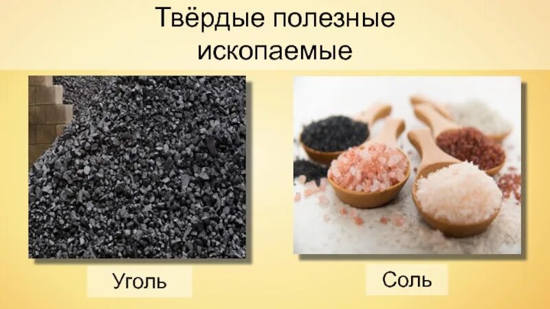 3 твердых полезных ископаемых