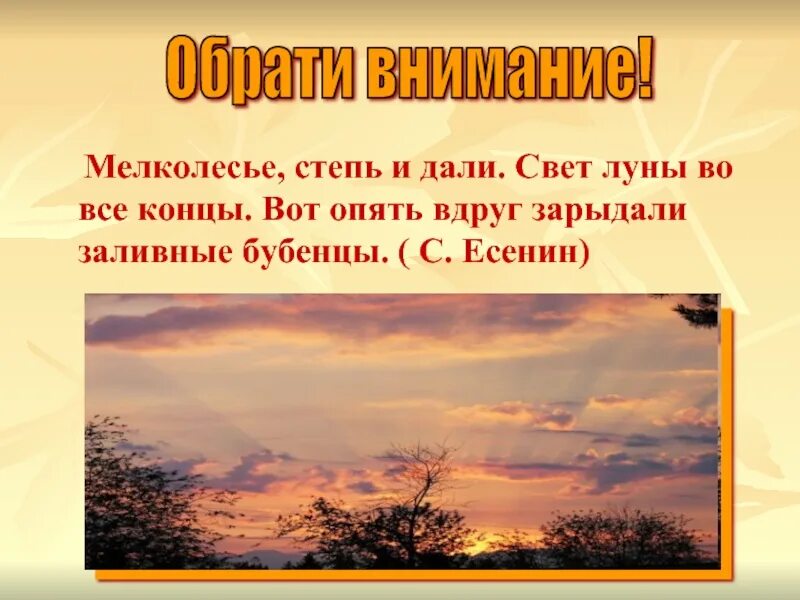 Есенин мелколесье. Мелколесье степь и дали Есенин. Мелколесье степь и дали свет Луны во все концы. «Мелколесье. Степь и дали...», «пороша». Мелколесье разбор