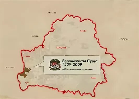 Беловежская пуща территория. Беловежская пуща карта заповедника. Беловежская пуща на карте Белоруссии. Карта Белоруссии Беловежская пуща на карте. Беловежская пуща заповедник расположение.