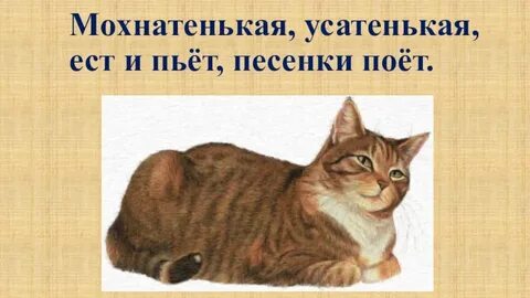 Маленький усатенький мохнатенький со спинкой полосатенький