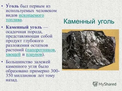 Какое происхождение имеет уголь