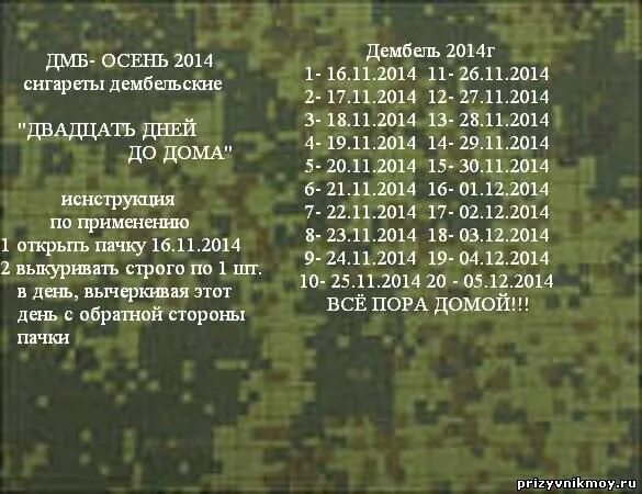 Дмб сколько прошло. ДМБ календарь. Армейский календарь. Календарик для армии. ДМБ календарики.