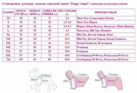 Как определить размер собачки