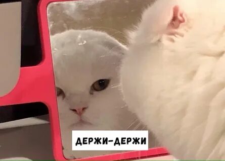 Ладно хочешь дружить я провожу я
