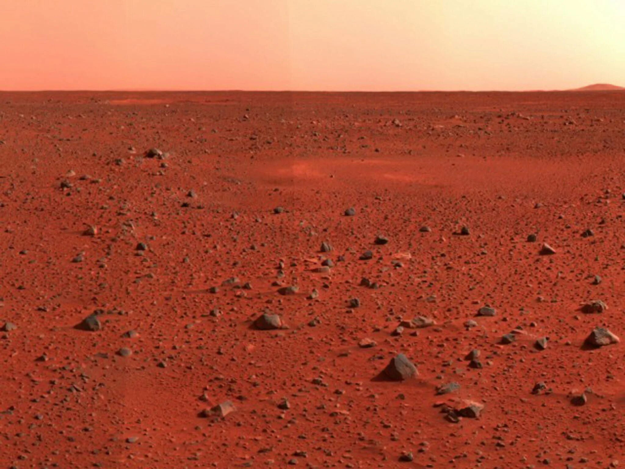 Mars algoritim az