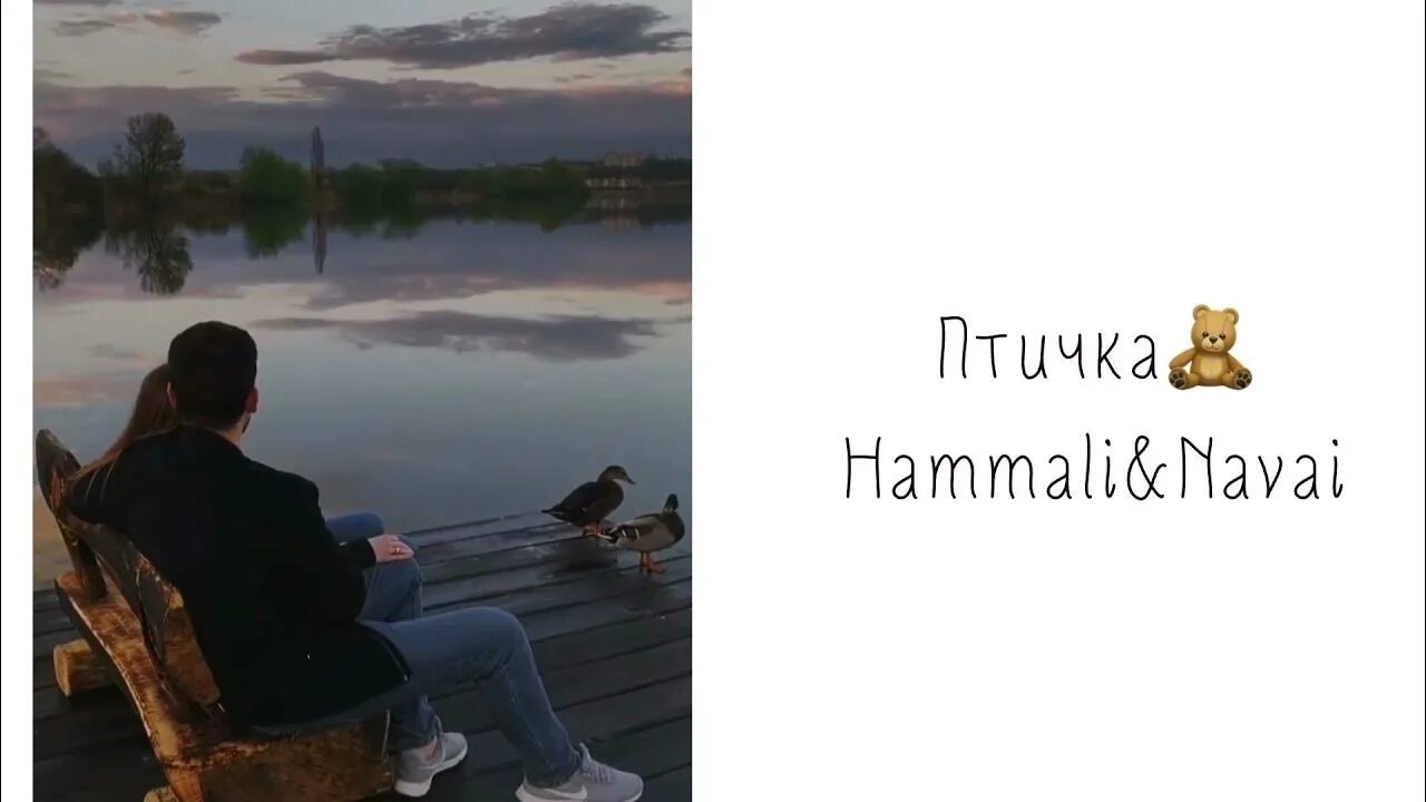 Наваи птичка. Слова птичка HAMMALI Navai. Птичка HAMMALI Navai текст. Текст песни птичка HAMMALI Navai.