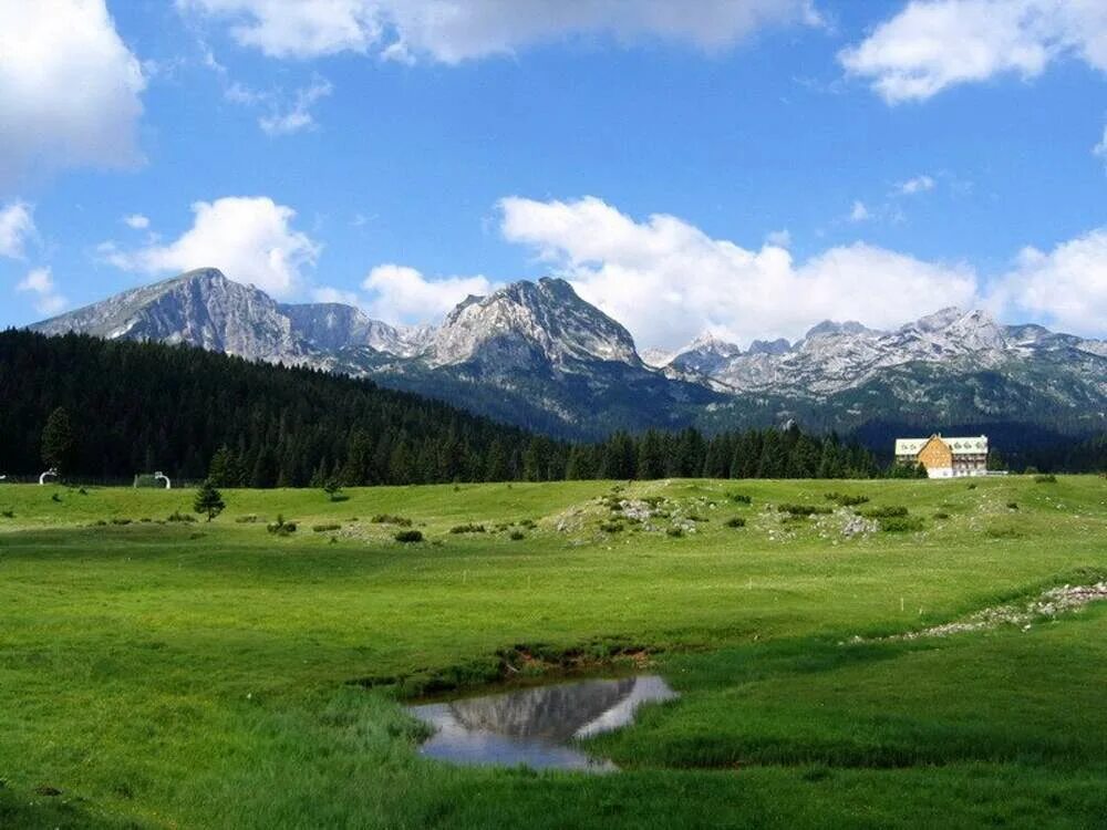 Жабляк черногория. Дурмитор Жабляк. Zabljak Черногория. Дурмитор Черногория. Национальный парк Дурмитор в Черногории.