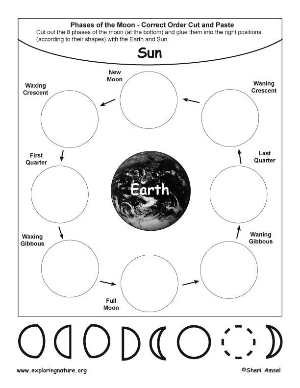 Moon correct moon. Moon phases. Moon phases Worksheets. Moon Worksheets. Moon phase Worksheet for Kids.