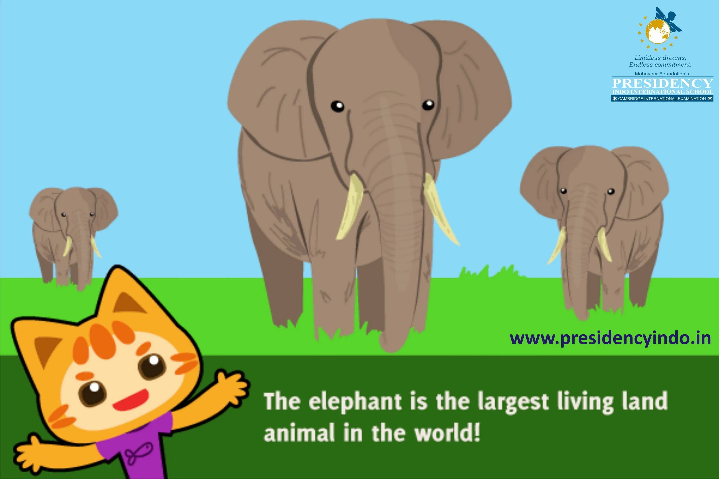 Facts about animals. About Elephant for Kids. Interesting facts about animals. Fun fact about Elephant. The Elephant's child презентация.