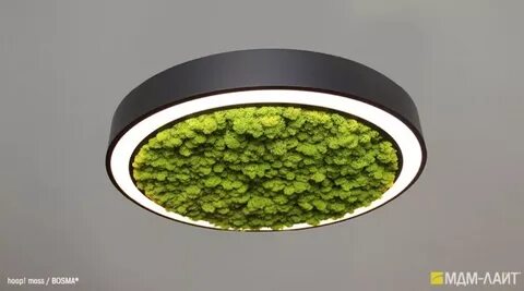 D light светильники