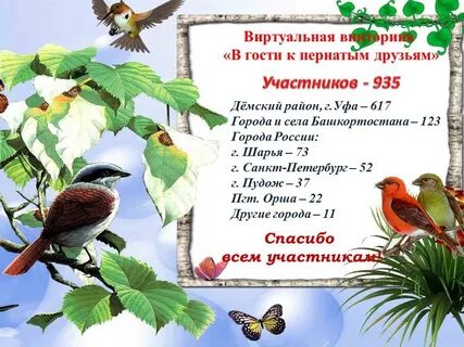 Пернатые гости 3 класс