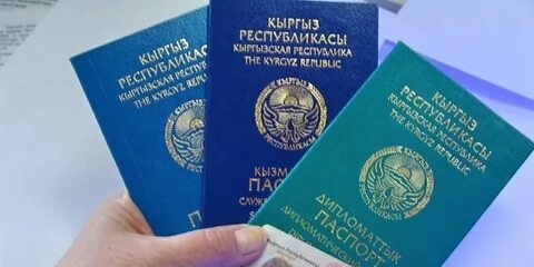 Гражданство узбекистан казахстан