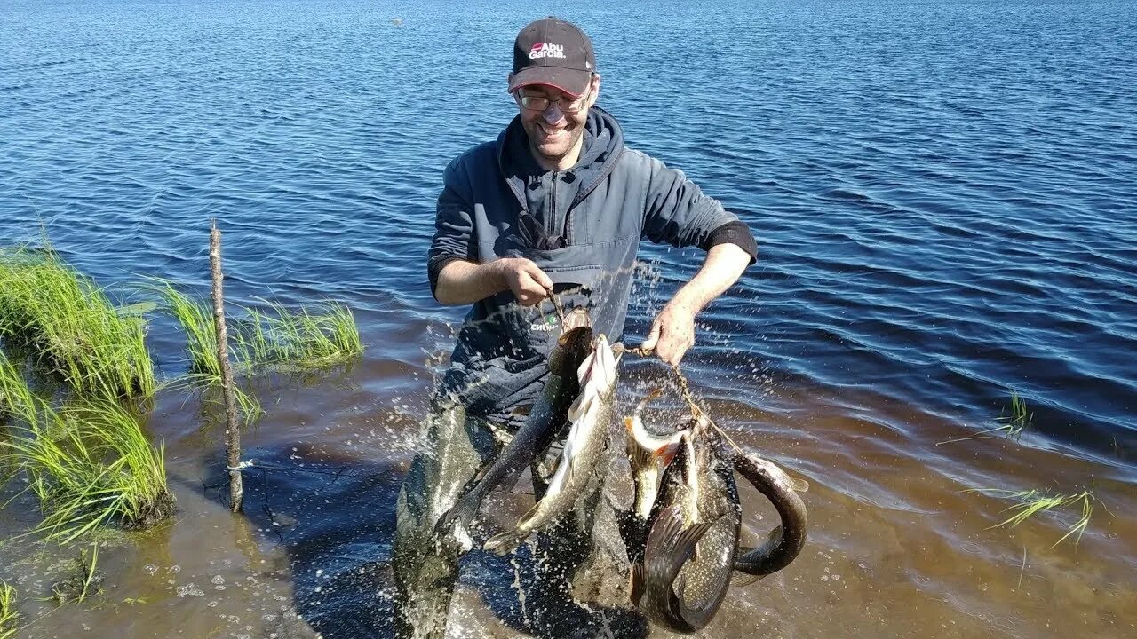 Рыба в парабели. Рыболовные базы в томской области. Колпашево томская рыбалка. Рыбалка на чулыме. Рыбалка томская обл.