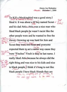 013 Essay Example To Kill Mockingbird Parody Paper Satirical Imposing Examp...