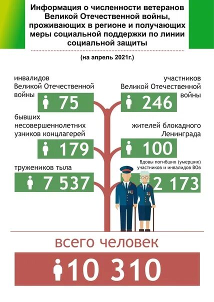 Предоставление мер социальной поддержки 2024. Меры социальной поддержки ветеранов ВОВ. Меры социальной поддержки ветеранов статистика. Социальную поддержка статистика 2021. Меры социальной поддержки участникам сво.