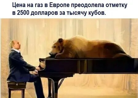 Медведь фортепиано