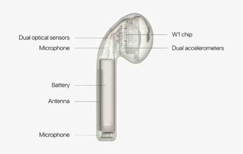 Строение наушников аирподс 2. Строение наушников Earpods беспроводные. AIRPODS 2 расположение датчиков. Строение AIRPODS 2 микрофон. Микрофон на airpods pro