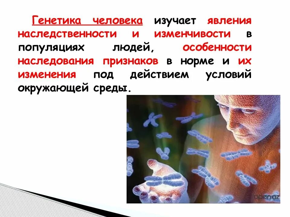Генетика закономерности. Биологические законы человека. Генетика человека кратко. Личность генетика. Генетика человека слова.