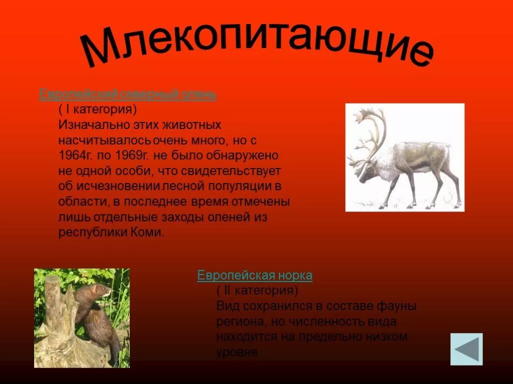 Из леса вышли... " Унипоселок.ру Интернет-портал Унинского района