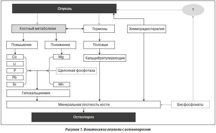 костный метаболизм. регуляция обмена веществ. маркеры костного метаболизма. костный метаболизм. регуляция метаболизма костной ткани локальные и системные.