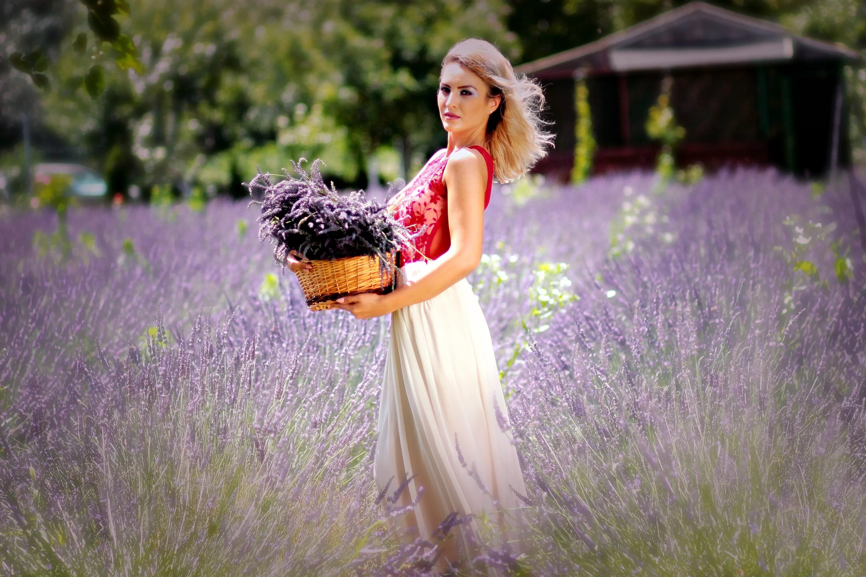 Natural person. Булавина Лаванда. Девушка с лавандой. Девушка в лавандовом поле. Девушка поле цветы.